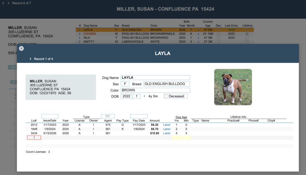 Screenshot of Dog Licensing Software